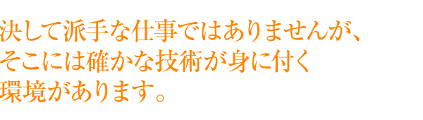 アプリケーション開発、システム基盤構築、システム開発を募集しています-「固有」のスキルを持ち、 長く働ける(=信頼される)エンジニアになってください。